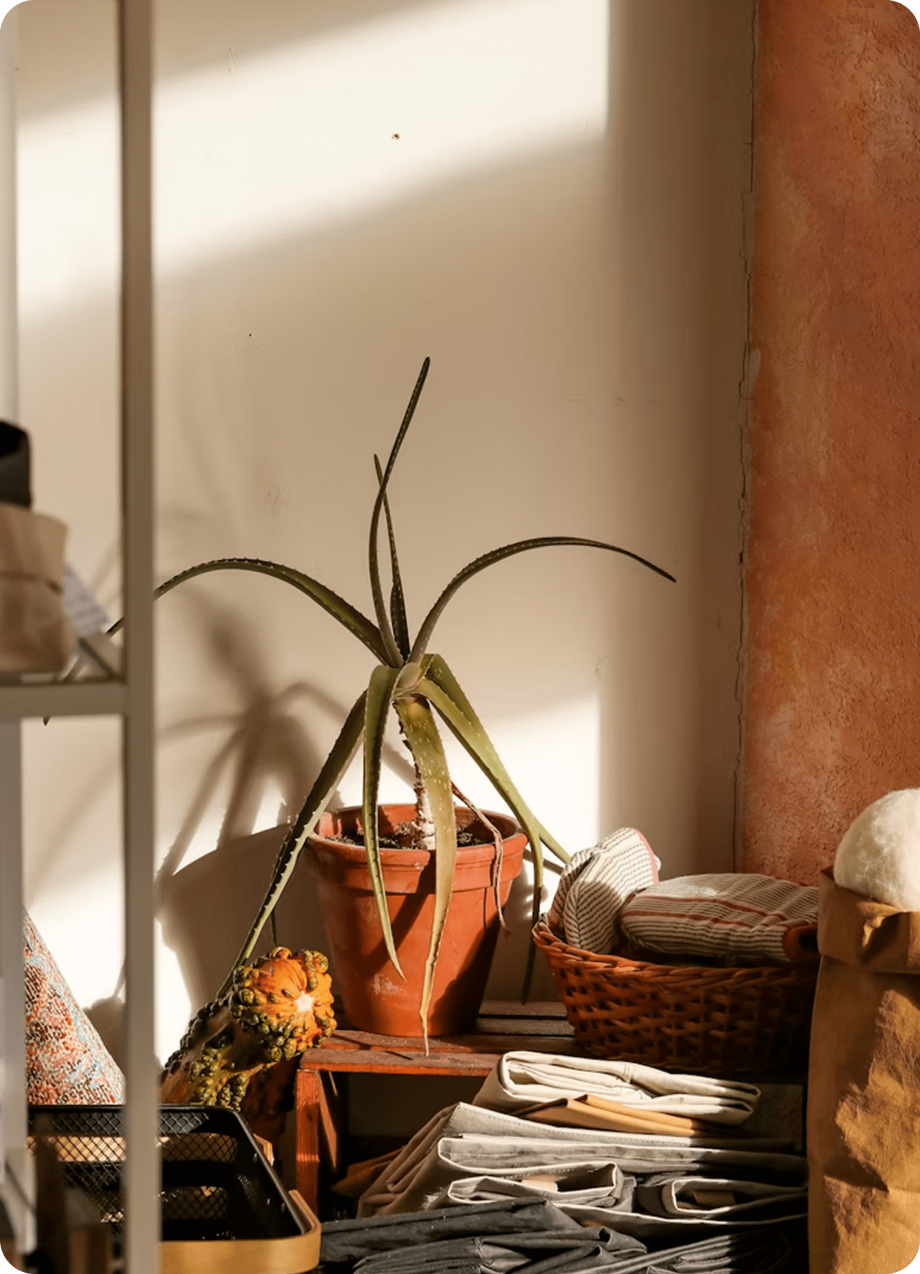 Home goods and decor displayed on shelf