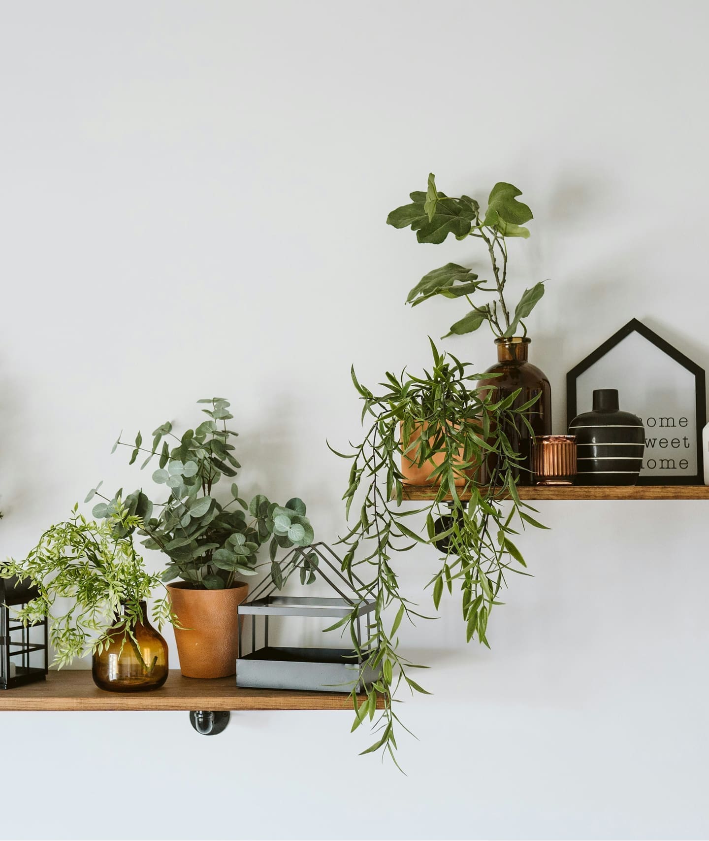 Home goods and decor displayed on shelf