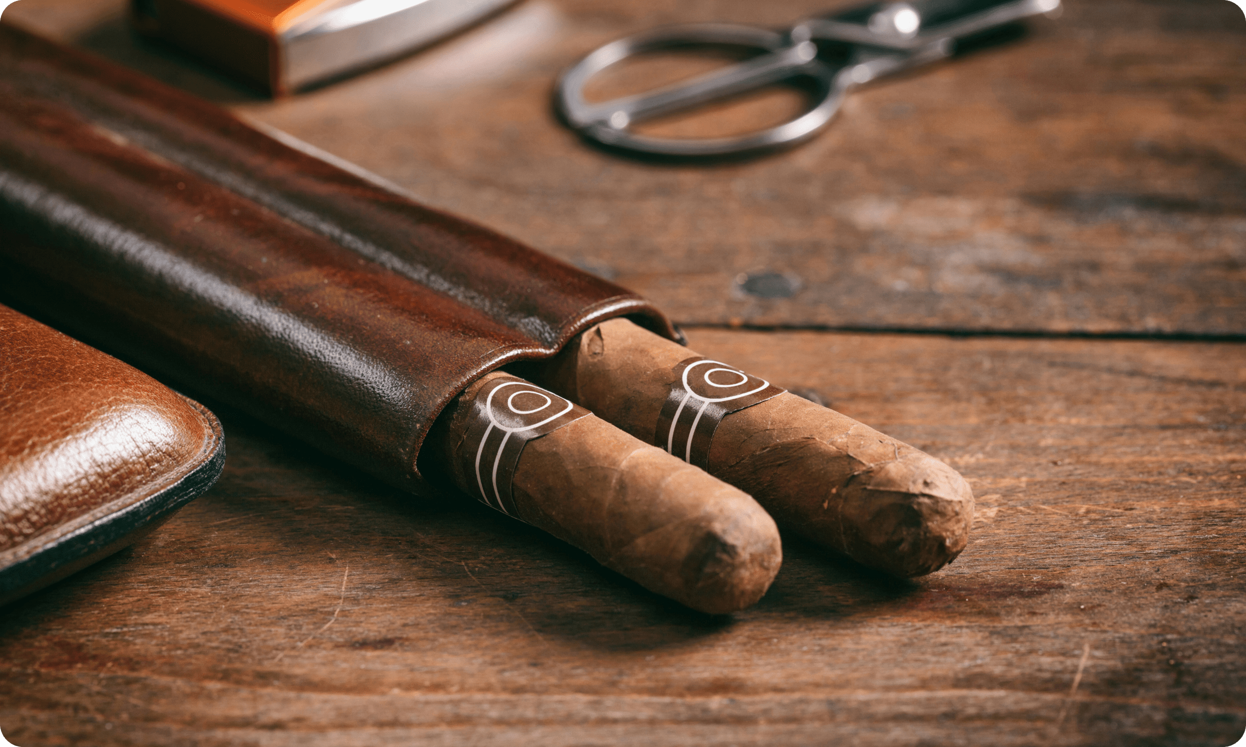 Cigars in leather case